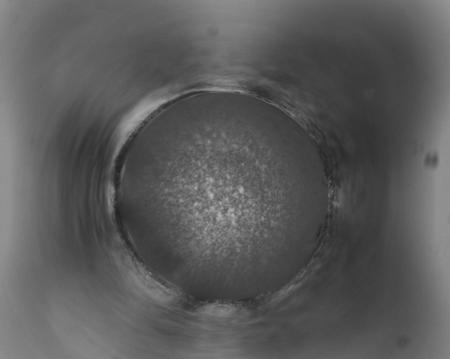 X0000112010294200908171450