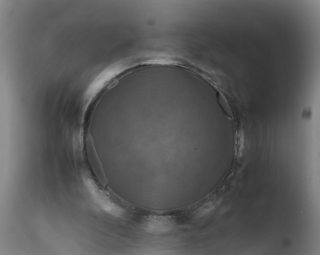 X0000112010296200908171450