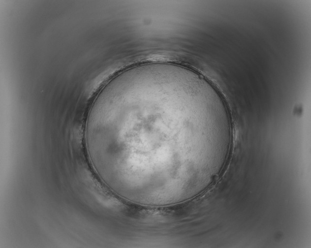 X0000112010297200908171450