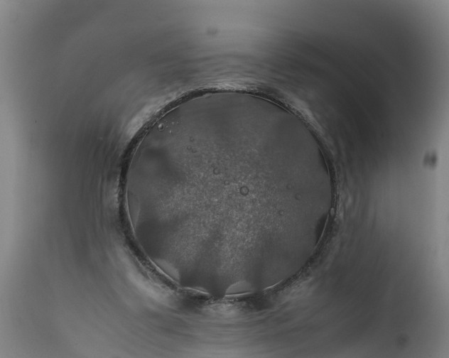 X0000112010299200908171450