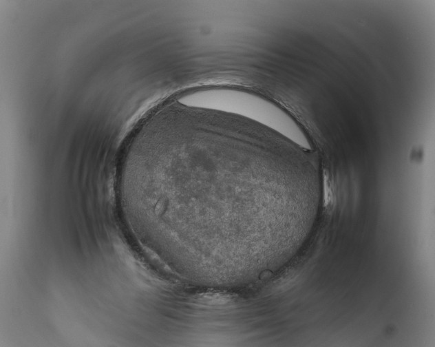 X0000112010300200908171450