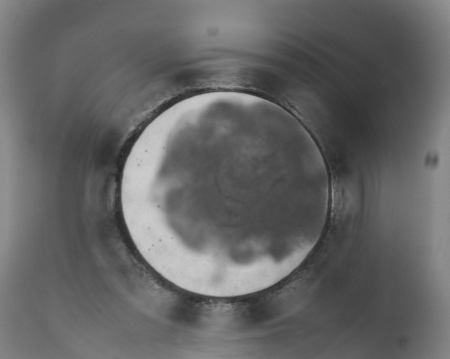 X0000112010301200908171450