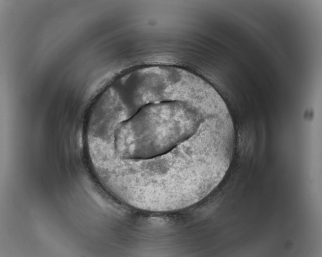 X0000112010302200908171450