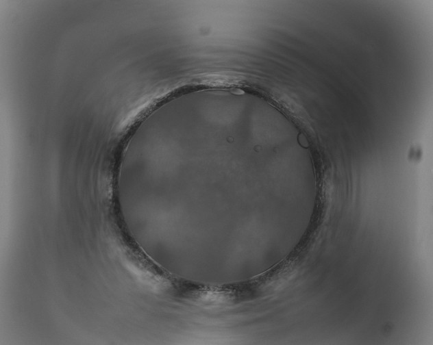 X0000112010303200908171450