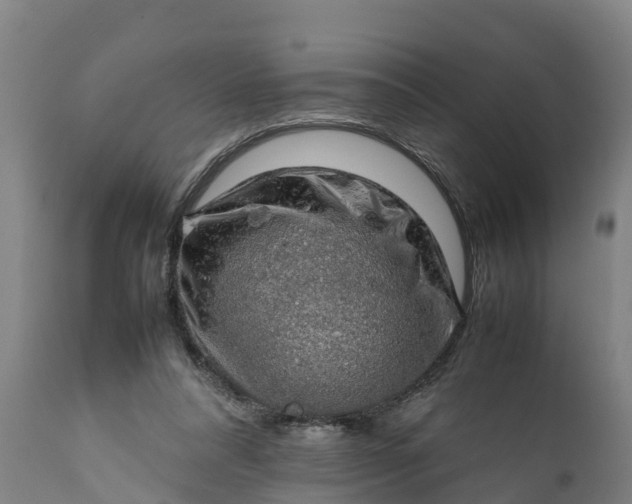 X0000112010304200908171450