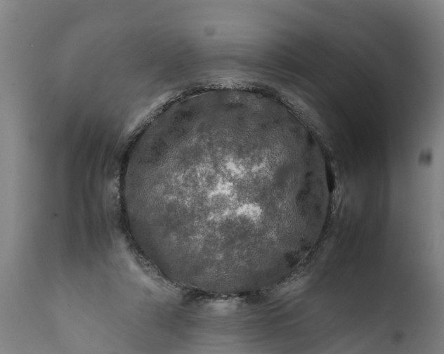 X0000112010306200908171450