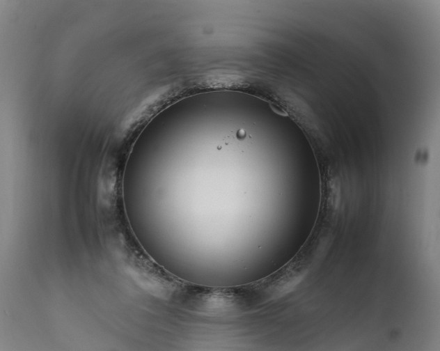 X0000112010308200908171450