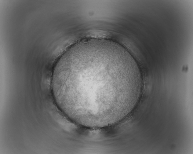 X0000112010309200908171450