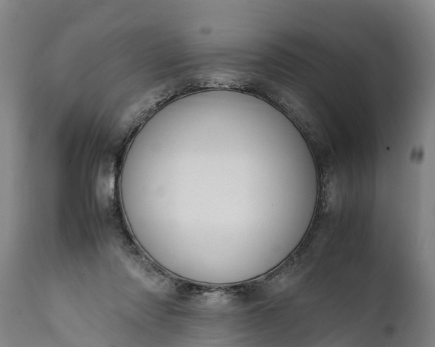 X0000112010310200908171450