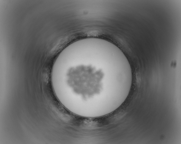 X0000112010311200908171450