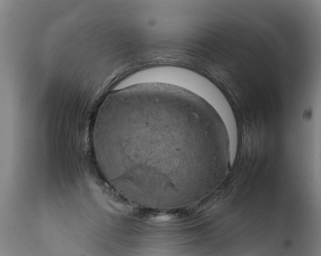 X0000112010312200908171450