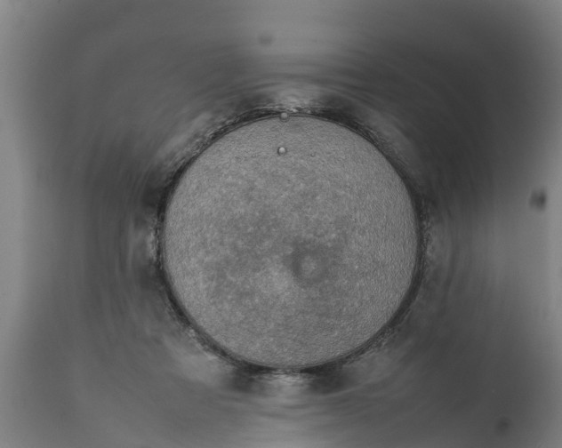 X0000112010313200908171450