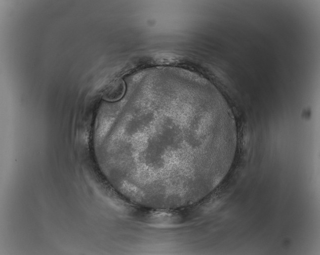 X0000112010315200908171449