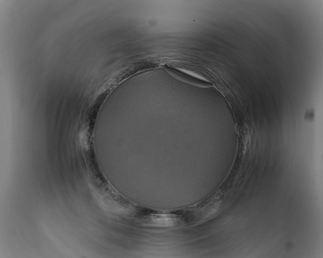 X0000112010316200908171449