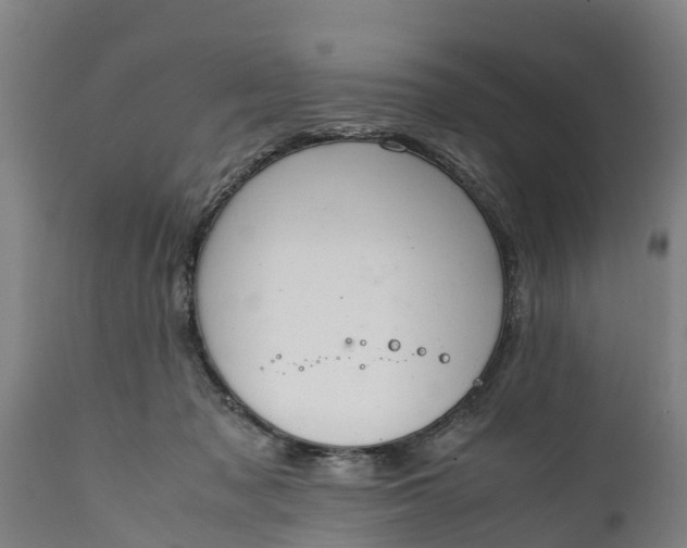 X0000112010317200908171449