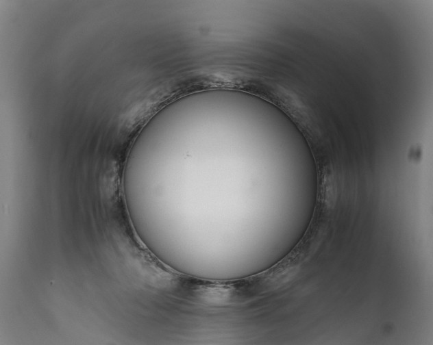 X0000112010318200908171449