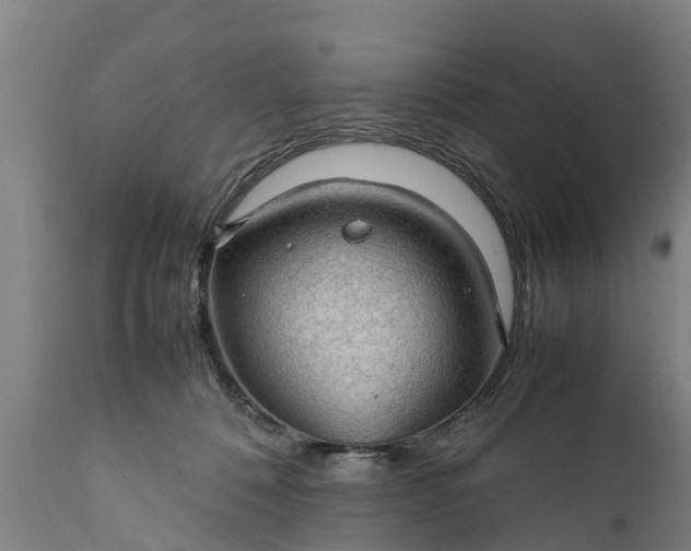 X0000112010320200908171449