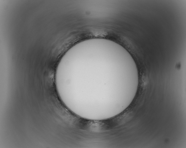 X0000112010321200908171449