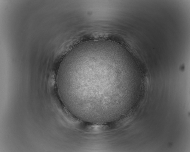 X0000112010323200908171449