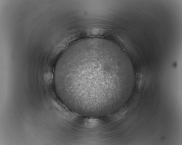 X0000112010324200908171449