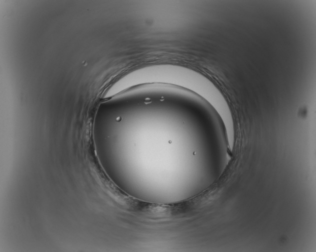 X0000112010325200908171449