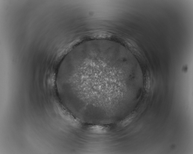 X0000112010326200908171449