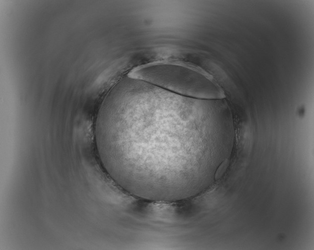 X0000112010327200908171449