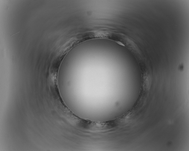 X0000112010329200908171449