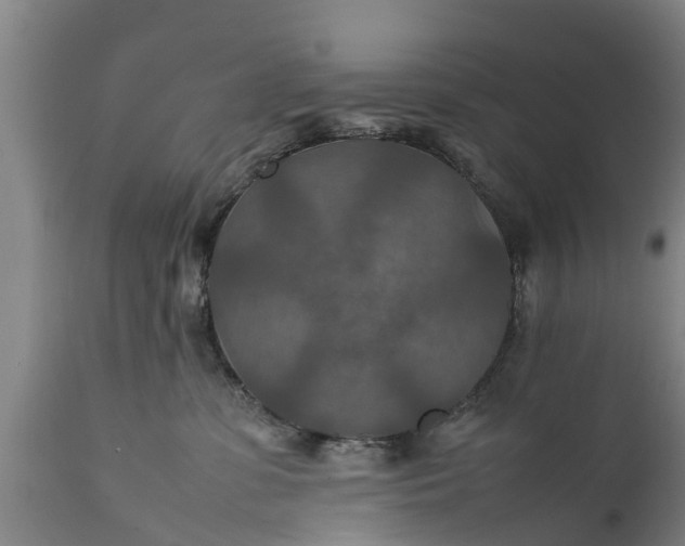 X0000112010331200908171449