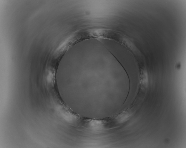 X0000112010332200908171449