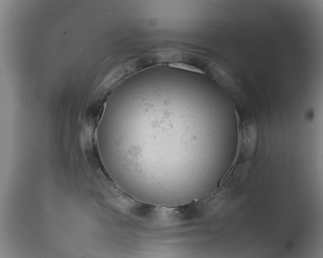 X0000112010333200908171449