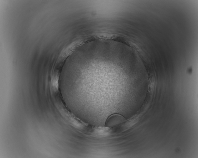 X0000112010334200908171449