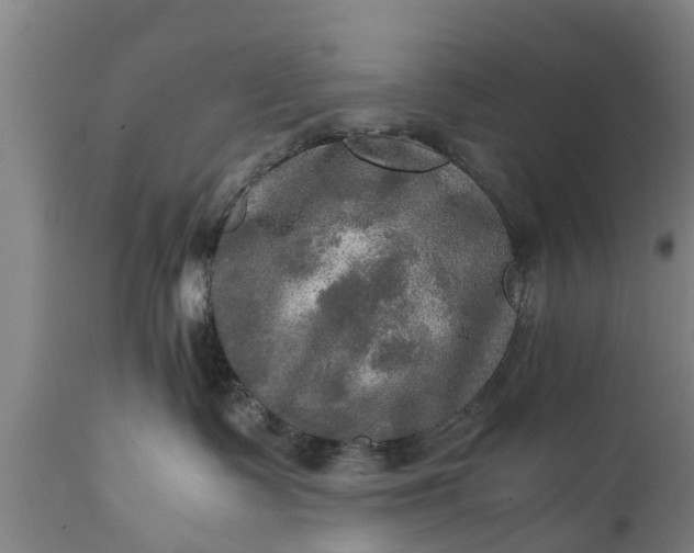 X0000112010335200908171449