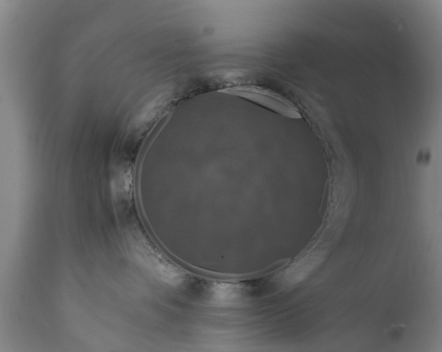 X0000112010336200908171449