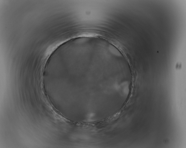 X0000112010337200908171449