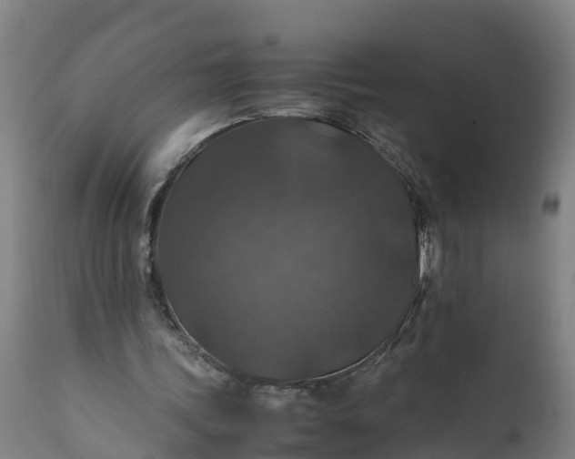 X0000112010339200908171449