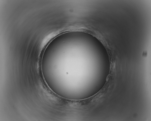 X0000112010340200908171449