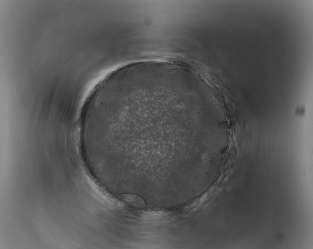 X0000112010342200908171449