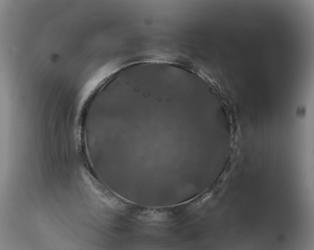 X0000112010343200908171449