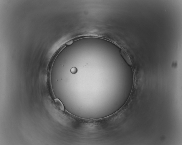 X0000112010344200908171449