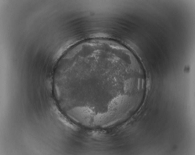 X0000112010345200908171449