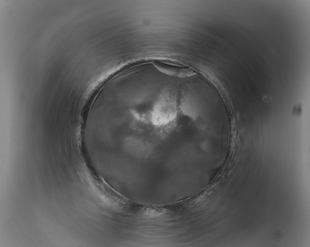 X0000112010346200908171449