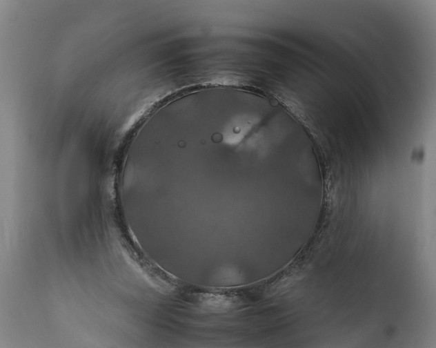 X0000112010347200908171449