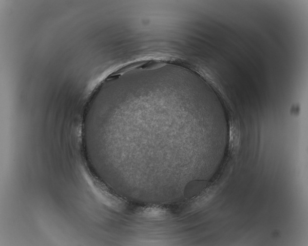 X0000112010348200908171449