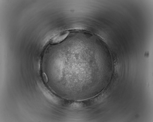 X0000112010350200908171449