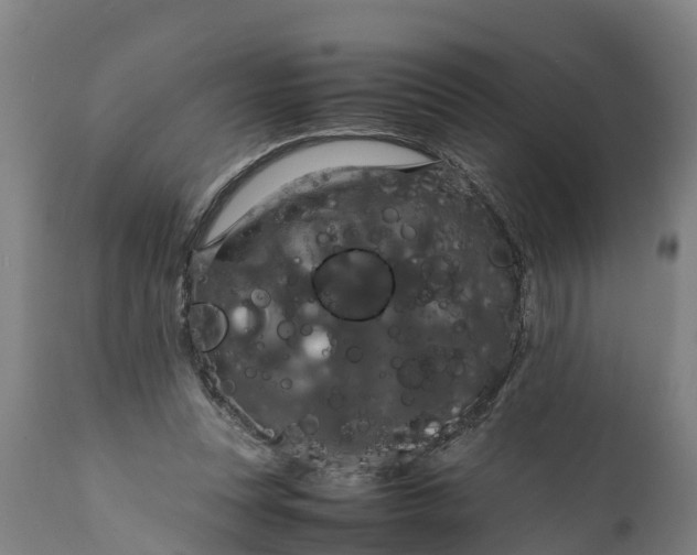 X0000112010351200908171449