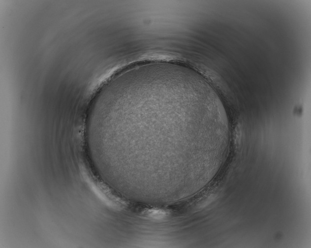 X0000112010352200908171449