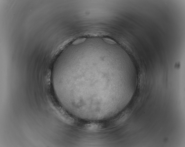 X0000112010356200908171449