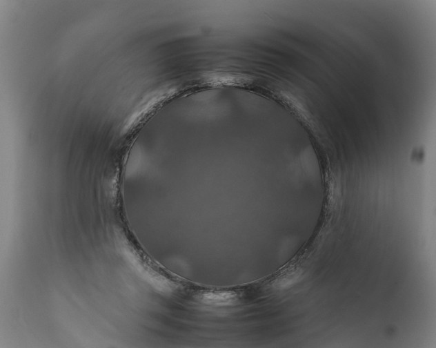 X0000112010357200908171449