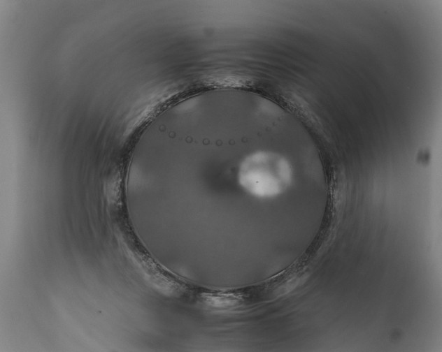 X0000112010359200908171449